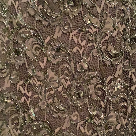 Gorgeous Beaded Lace Formal - Picture 10 of 11